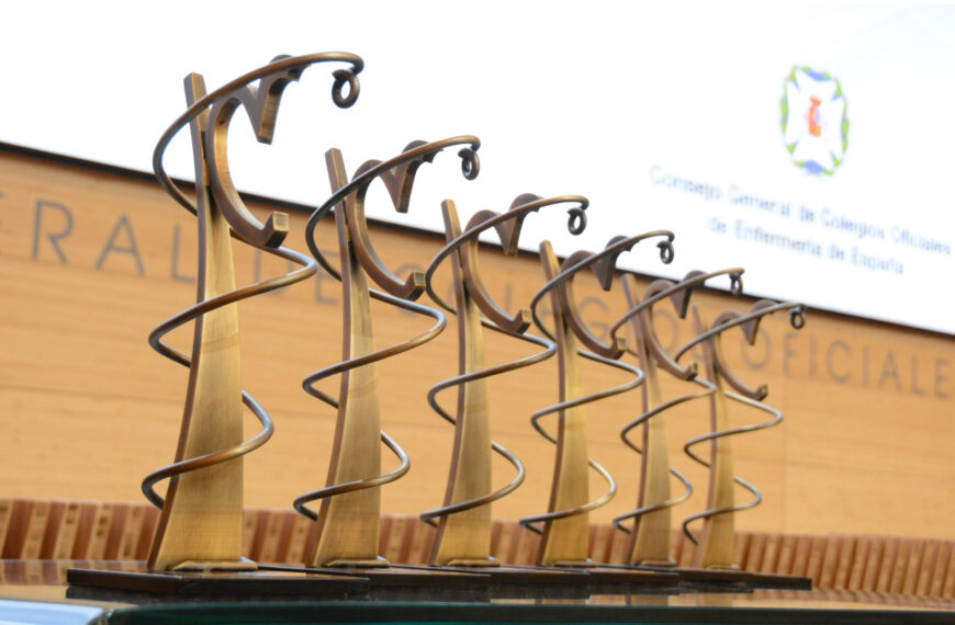 Enfermeras de Castilla y León finalistas de los III Premios Nacionales de Enfermería